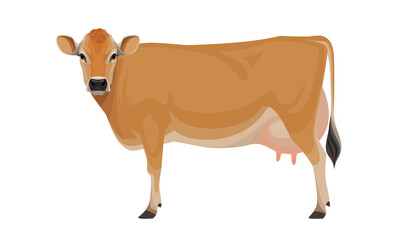 Cow Jersey - The Best Milk Cattle Breeds. Farm animals. Vector Illustration.