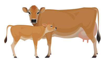 Cow Jersey with Calf - The Best Milk Cattle Breeds. Farm animals. Vector Illustration.