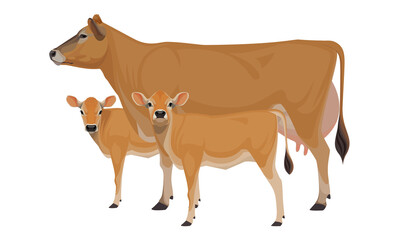Cow Jersey with Calfs - The Best Milk Cattle Breeds. Farm animals. Vector Illustration.
