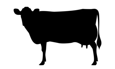 Cow Jersey Silhouette - The Best Milk Cattle Breeds. Farm animals. Vector Illustration.