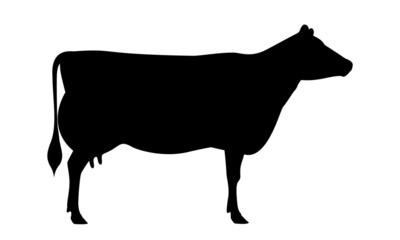 Cow Jersey Silhouette - The Best Milk Cattle Breeds. Farm animals. Vector Illustration.