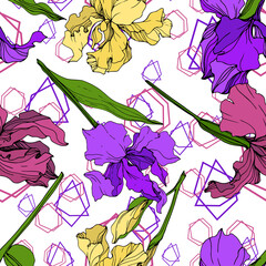 Vector Yellow, purple and maroon Iris floral botanical flower. Engraved ink art. Seamless background pattern.
