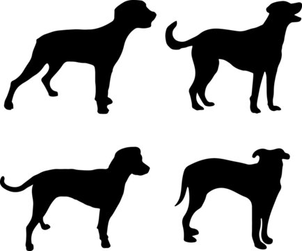 Blue Lacy Dog Silhouette Vector Pack