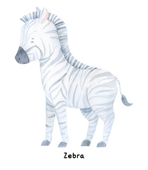 Watercolor baby cartoon zebra. Jungle animals. Safari baby animals, cute childish baby shower illustration.