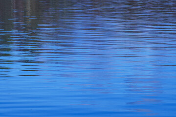 Lake, water, background, twinkling wave
