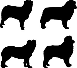 Australian Shepherd Dog Silhouette Vector Pack