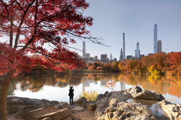 Central Park Sunrise
