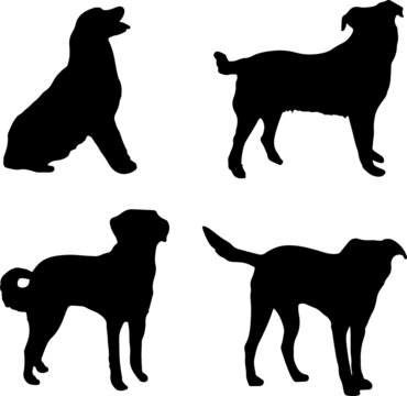 Austrian Pinscher Dog Silhouette Vector Pack
