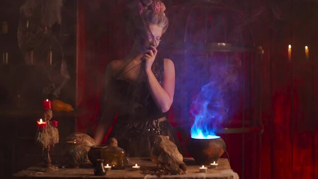 Halloween witch with cauldron hide face Beautiful young woman flowers in hair conjuring, making witchcraft. Standing gothic dungeon dark room. Enchantress prepare love potion use magic spell. Handheld