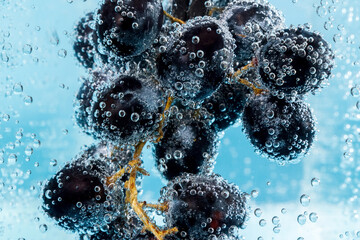 Black grapes fruit under water, selective focus, macro. Healthy lifestyle. Multivitamin cocktail....