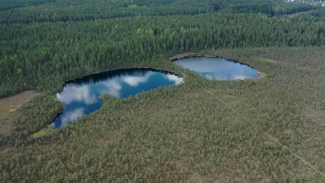 Aerial view of the Lammin-Suo Swamp Nature Reserve, reflection of clouds in the lake, a picturesque place in the Leningrad region. Forest belts and swampy terrain