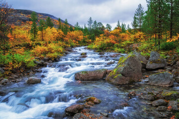 Fototapeta na wymiar River in the Khibiny mountains in autumn. Autumn landscape
