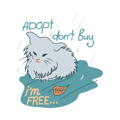 homeless kitten in the rain. animal problems.