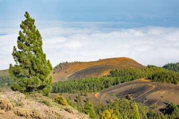 Naklejka premium Colorful Volcano Craters, La Palma, Spain