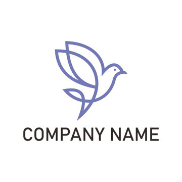 hummingbird logo vector icon template colibry line art logo