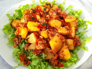 Close-up of a hot meal of boiled potatoes prepared with olive oil, tuna and cherry tomatoes on green salad leaves on white plate in sunlight