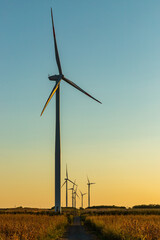 Fototapeta premium Wind Turbines Farm At sunset