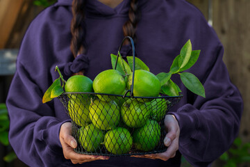 Girl Holding Basket of Limes
