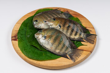 Kari meen_Pearl spot fish