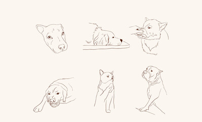 Set of funny animal characters. Isolated Cute animal print. Drawn fun poses. Vector illustration