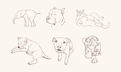 Set of funny animal characters. Isolated Cute animal print. Drawn fun poses. Vector illustration