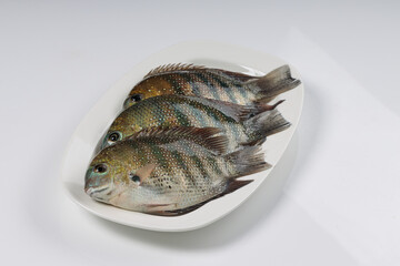 Kari meen_Pearl spot fish