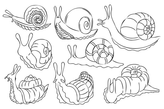 Outline snail illustration set. Black and white line art snails. Cartoon doodle coloring drawings. Linear vector illustration collection