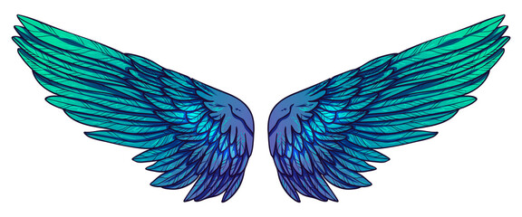 Beautiful bright blue green angel wings, color vector illustration