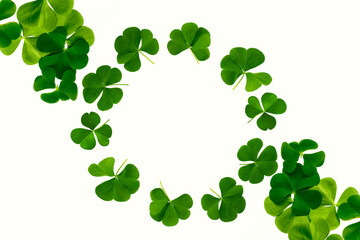 green clover leaves isolated on white background. St.Patrick 's Day