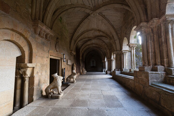 Fototapeta premium Lion of the cloister of the cathedral of Tui, Pontevedra, Galicia