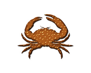 Crab Animal symbol Cookies chocolate icon logo illustration