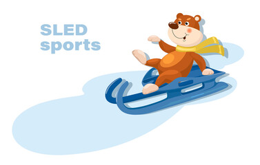 Toboggan sports. Cute bear sledding. Sports competitions in luge sports. Sled sports. Vector flat design illustration, can be used for kids or babies shirt designs. Vector illustration