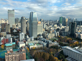 Bird-Eye view of Tokyo from the Shinjuku Metropolitan Building, Tokyo