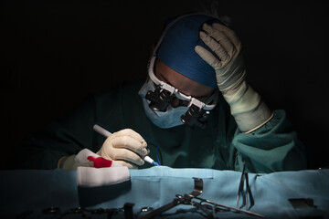 performance of long-term microsurgery of a single limb by a female trauma surgeon.
