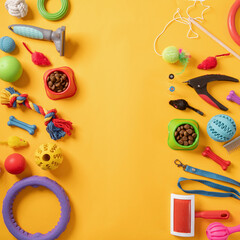 Pet care concept, various pet accessories on yellow background, flat lay
