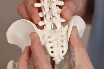 Tailbone Pain Relief, Coccydynia. Coccyx pain during pregnancy - obrazy, fototapety, plakaty
