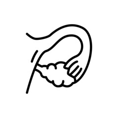 Ovary line icon. Isolated vector element.