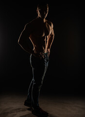 Fototapeta na wymiar Posing topless in studio, silhouette