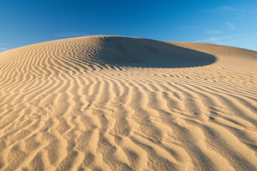 Ripples on sand dune Death Valley Ca,