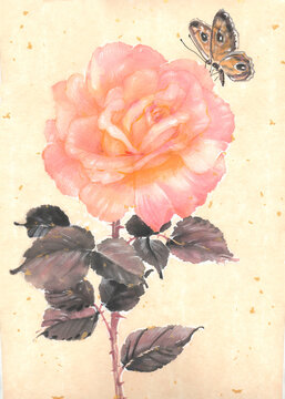Delicate pink rose flower and butterfly are painted with mineral paint and Chinese ink on Chinese beige and gold paper for a romantic oriental style design.