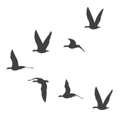 Silhouettes of birds flying in a flock. Vector illustration isolated on white background.