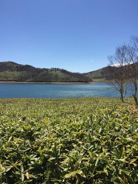 Waves, Sky, Beach and Shore of Lake Nozoriko Gunma Japan