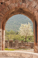 Obraz premium ruins of the roman forum ephesus