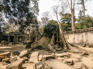 Ruins of an ancient stone temple lost in the Cambodian jungle - Ta Prohm of Angkor temples