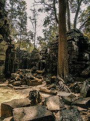 Ruins of an ancient stone temple lost in the Cambodian jungle - Ta Nei of Angkor temples