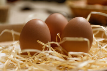Closeup three eggs. Easter craft box with brown eggs on eco background. Chicken eggs on craft table with hay and straw. Close-up view of raw product. Wooden straw