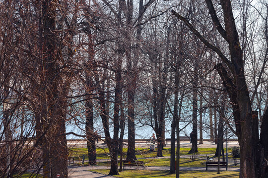 Park Balatonfüred with trees and blue lake Balaton in the background. High resolution color photo of a hungarian tourist destination.