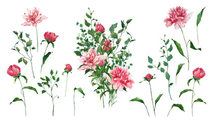Floral set with bouquet elements: blooming peonies flowers, leaves, branches. Watercolor illustrations for design of bouquets, flower shop, pattern, frames, decoration of cards, wedding. 