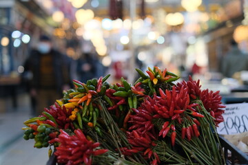 Red, yellow, orange hot chili peppers with green leaves in pots in flower market.
