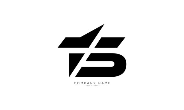 TS-branding-logo-letter-design